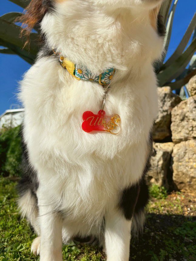 Médaille Personnalisable